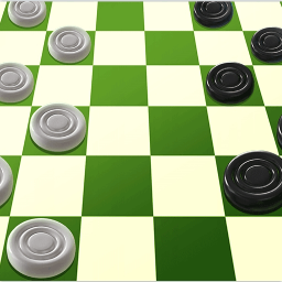 国际跳棋-经典双人跳棋王游戏